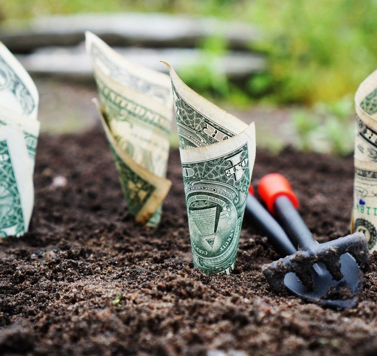 Educación Financiera